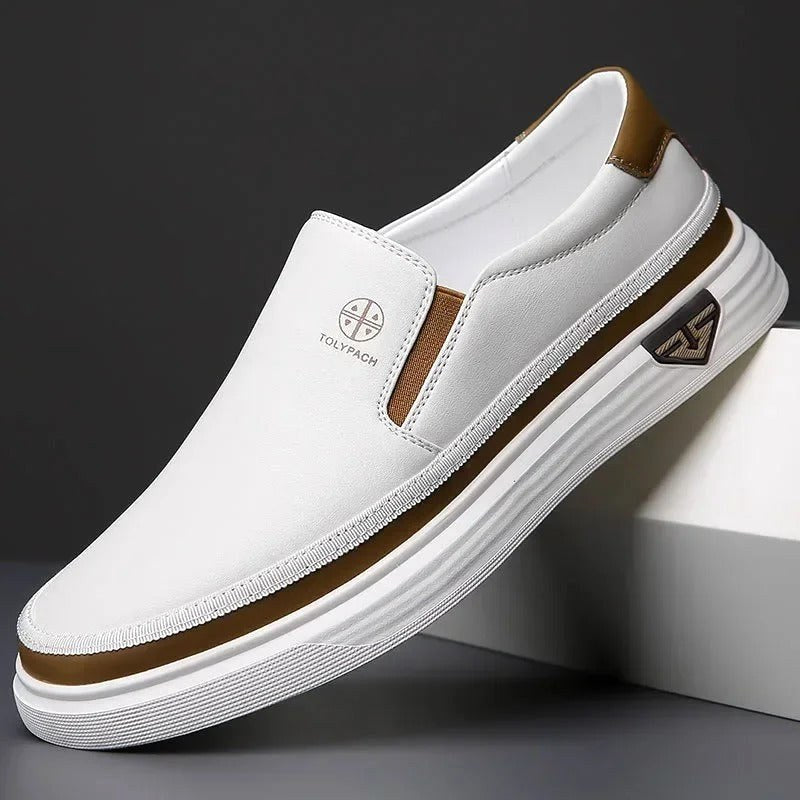 Cole | Men's Slip-On Shoes, Closed-Toe Casual Shoes | Animated Apparel