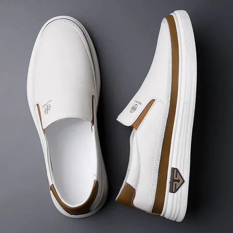 Cole | Men's Slip-On Shoes, Closed-Toe Casual Shoes | Animated Apparel