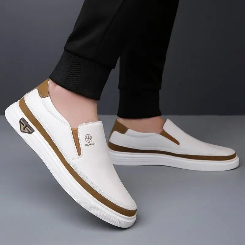 Cole | Men's Slip-On Shoes, Closed-Toe Casual Shoes | Animated Apparel